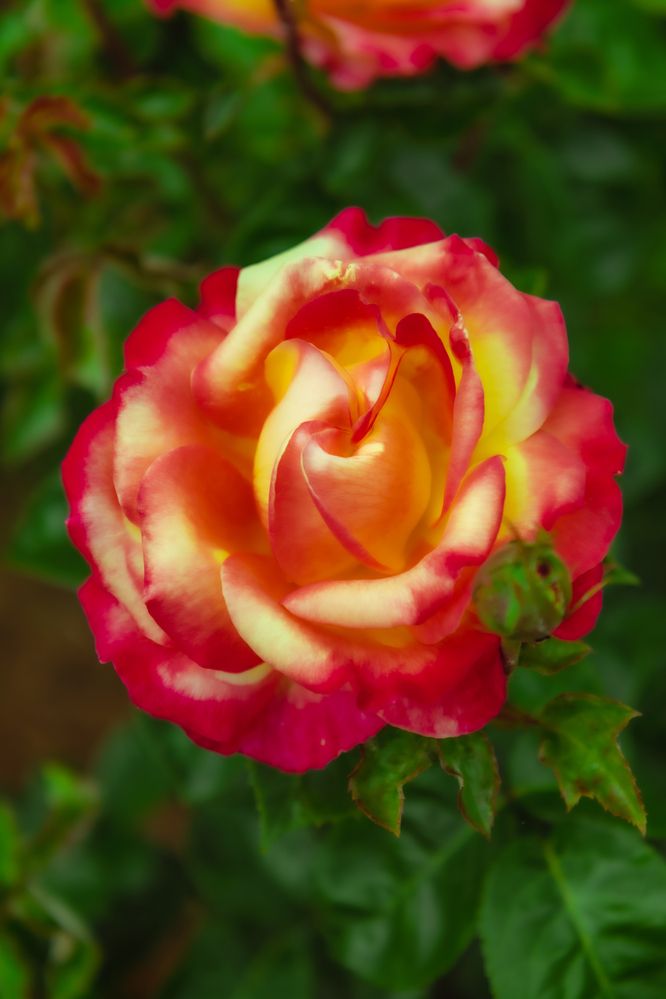 Photograph by Сергей Аникушин