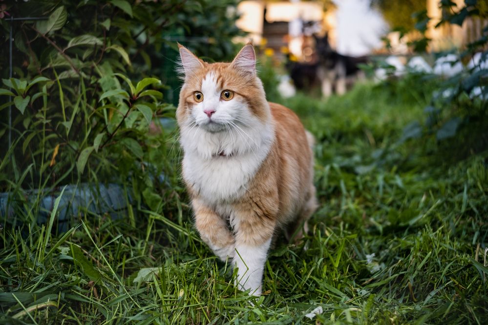 Photograph by Вадим Провоторхов