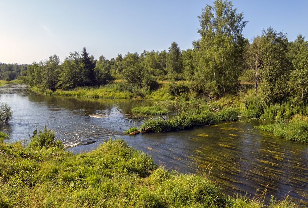 Фотография автора Цветков Сергей
