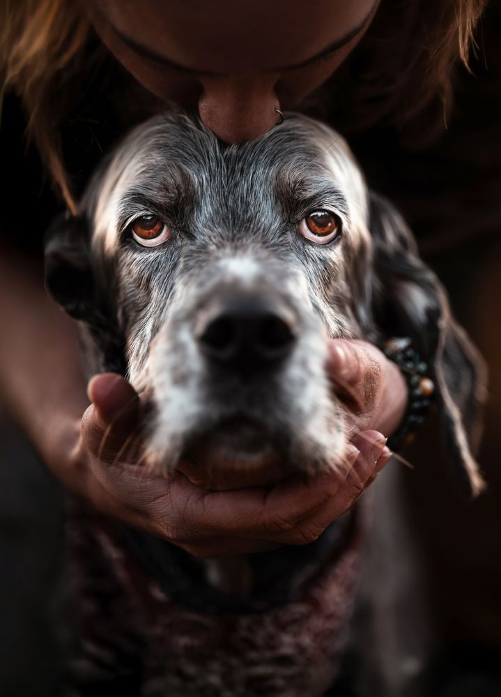Photograph by Shanna van Mens