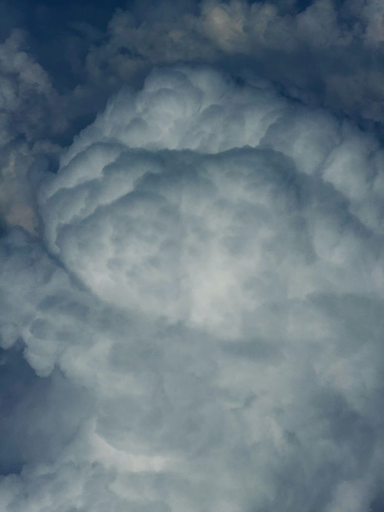 Фотография автора Елена Меньшикова