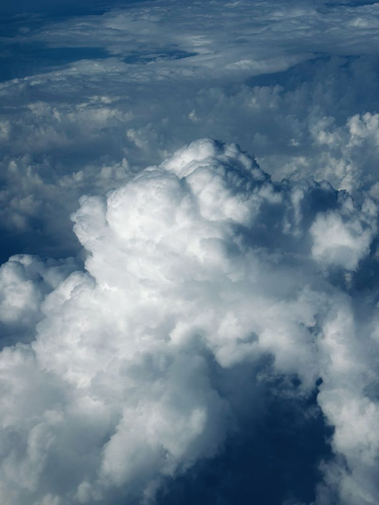 Фотография автора Елена Меньшикова