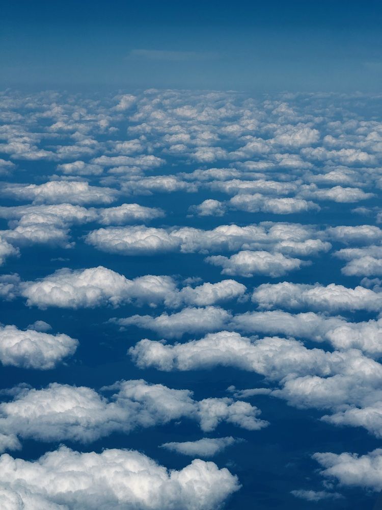 Фотография автора Елена Меньшикова