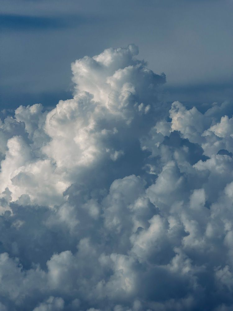 Фотография автора Елена Меньшикова