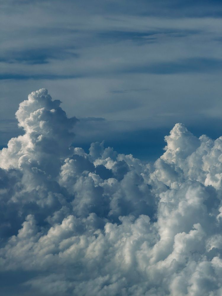 Фотография автора Елена Меньшикова