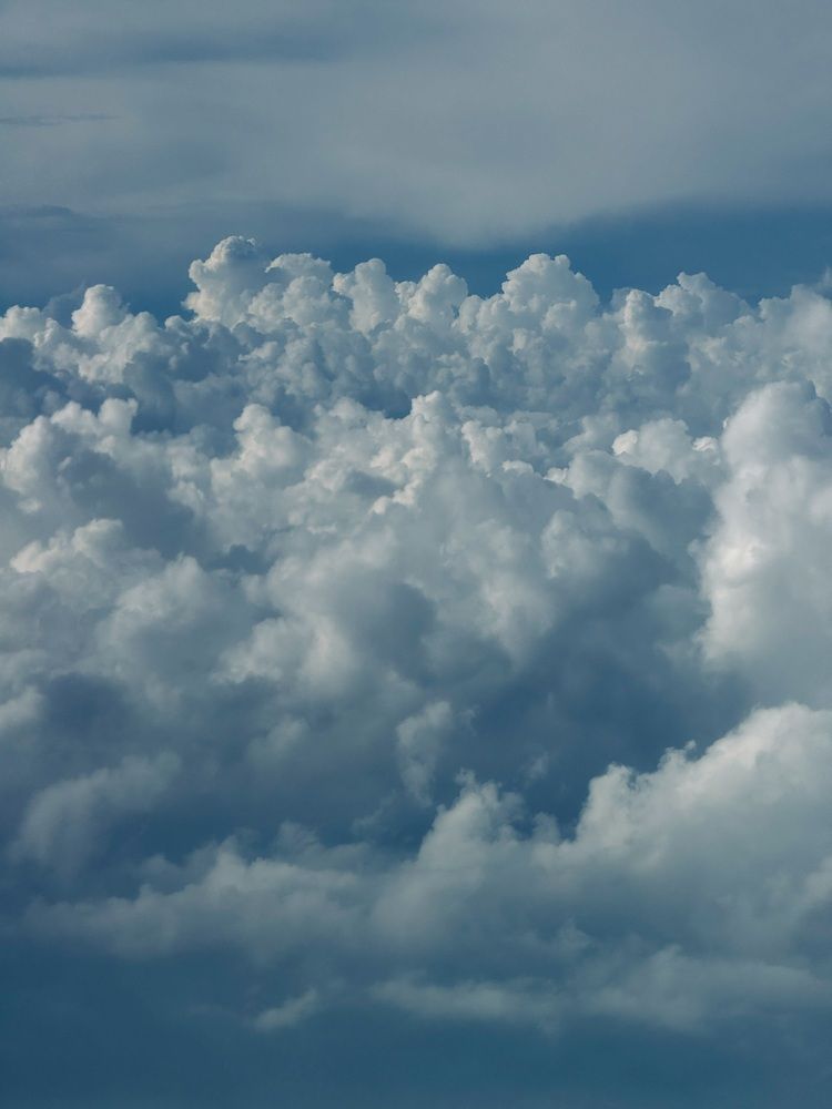 Фотография автора Елена Меньшикова