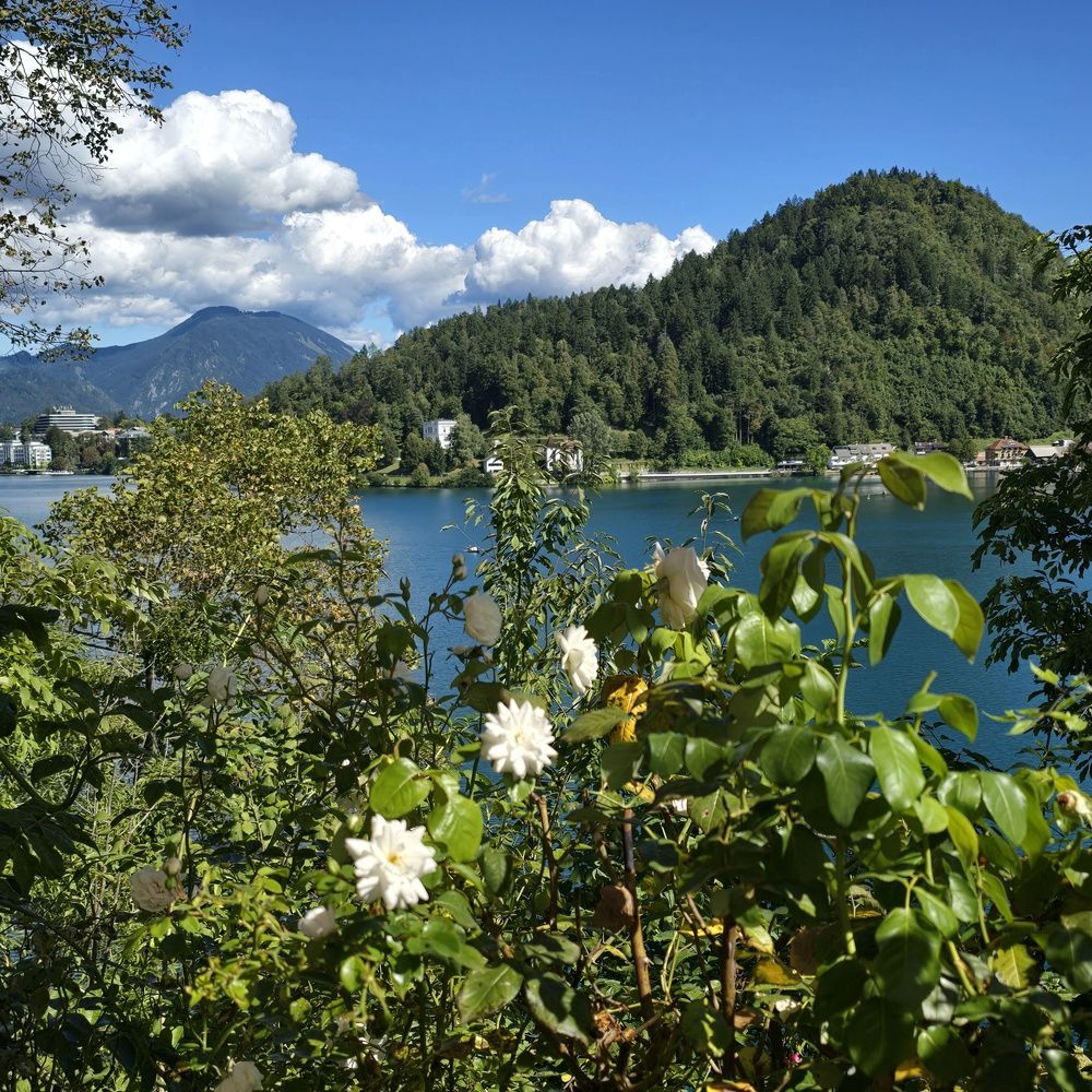 Photograph by Yulia Rotbach