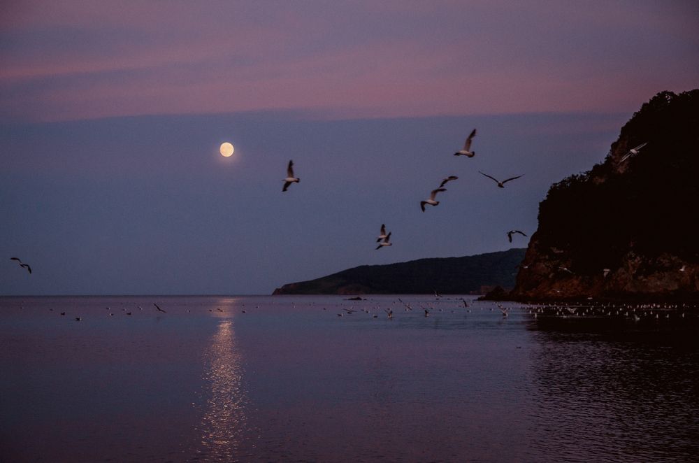 Photograph by Yana Marus