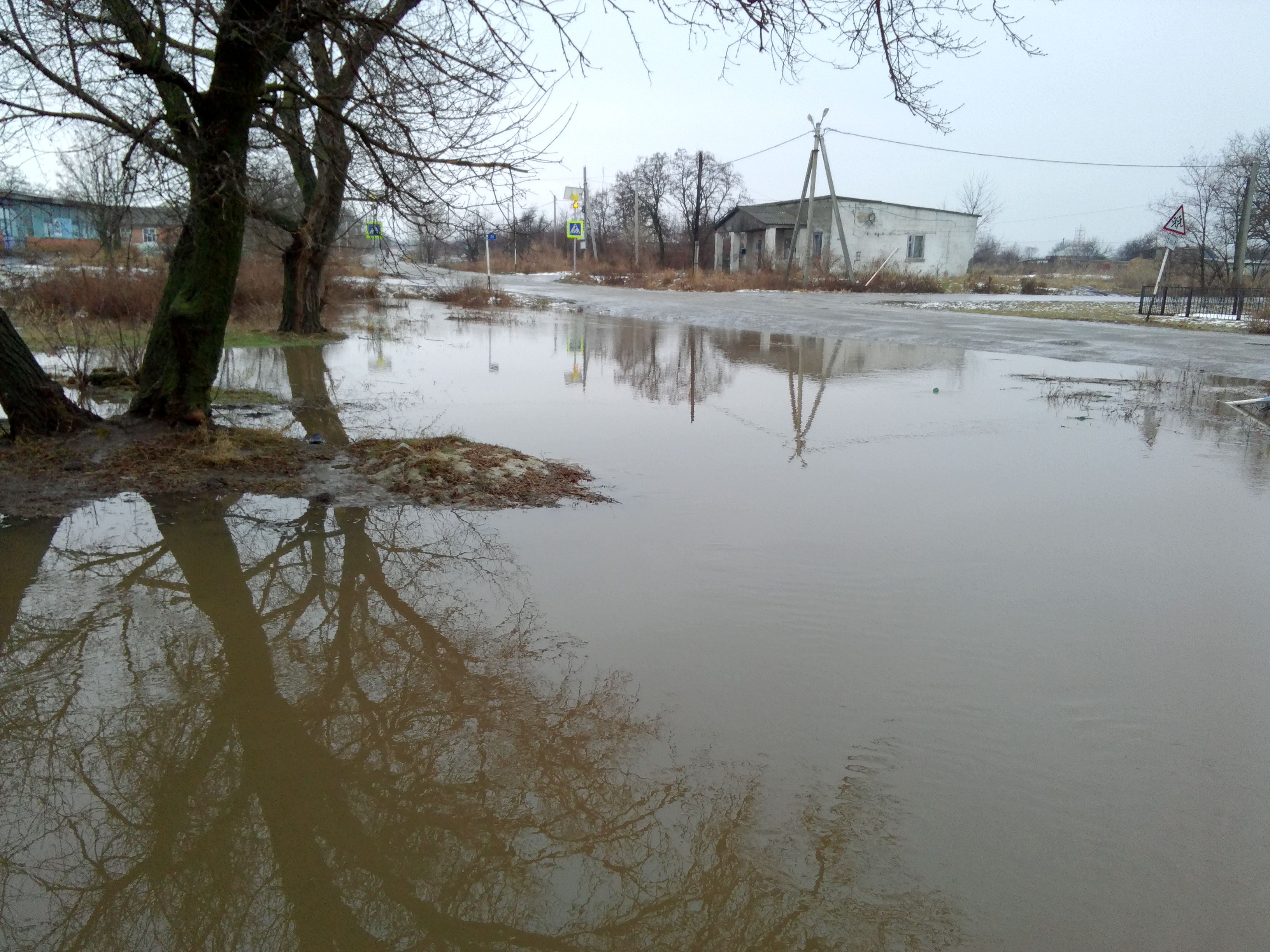Photo #12525126