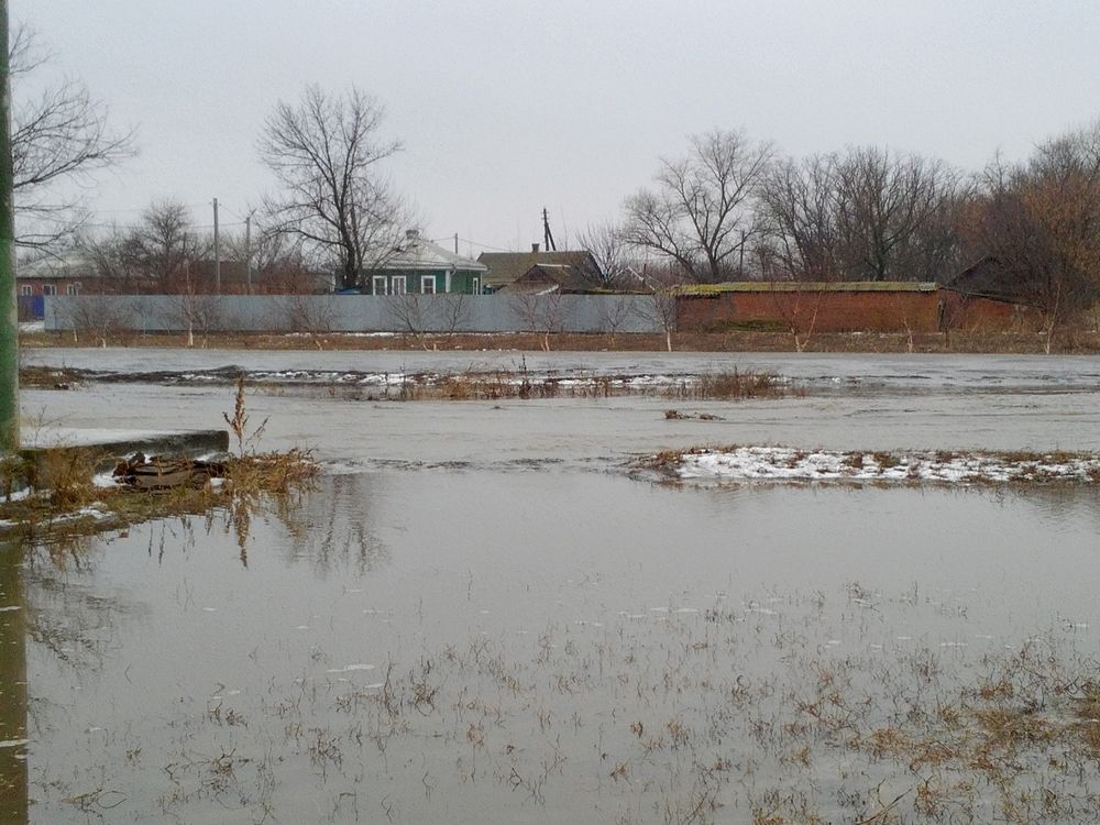 Photo #12525127