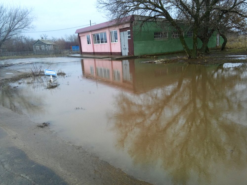 Photo #12525128