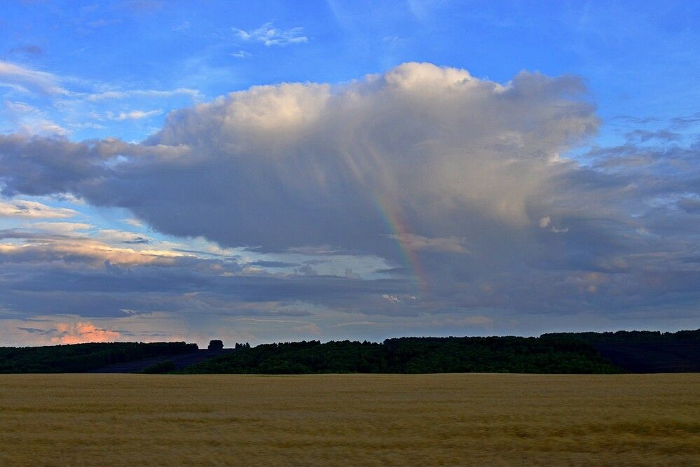 Photograph by Людмила