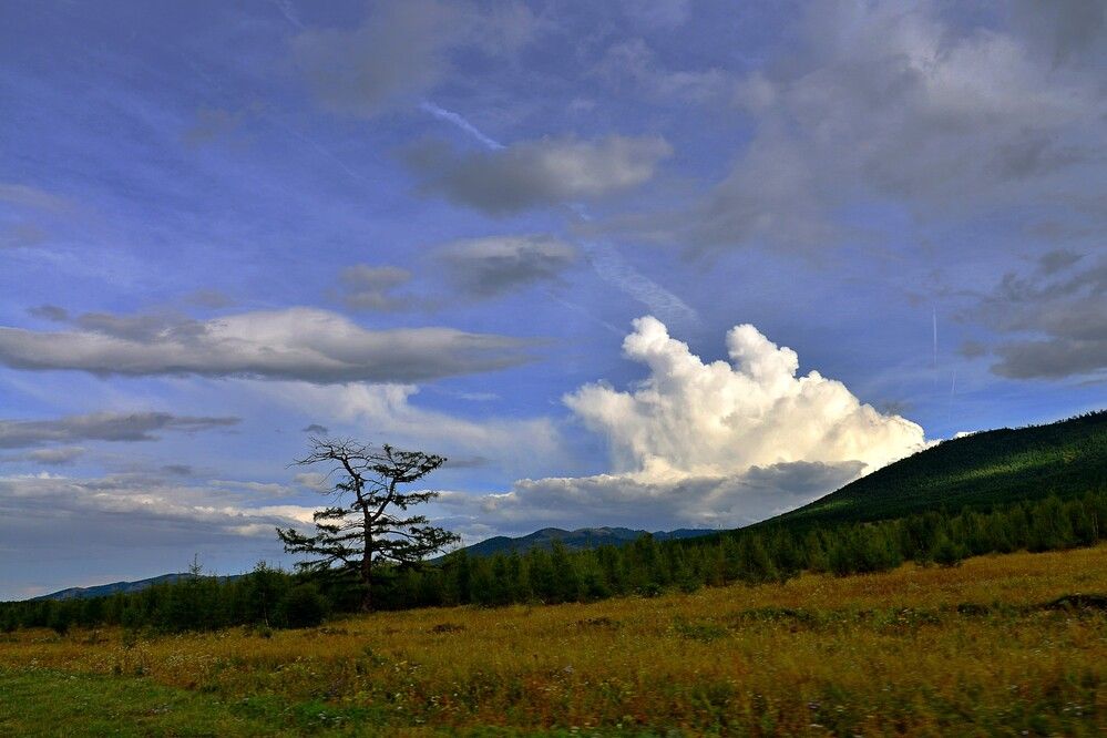 Photograph by Людмила