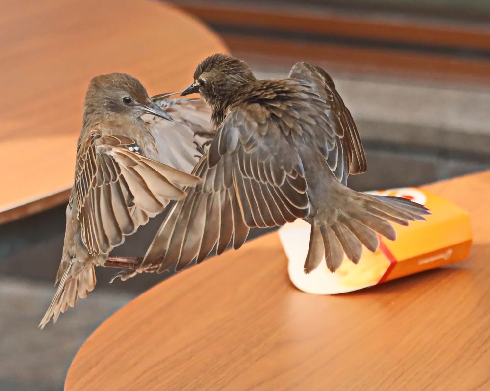 Photograph by Сергей Маслов