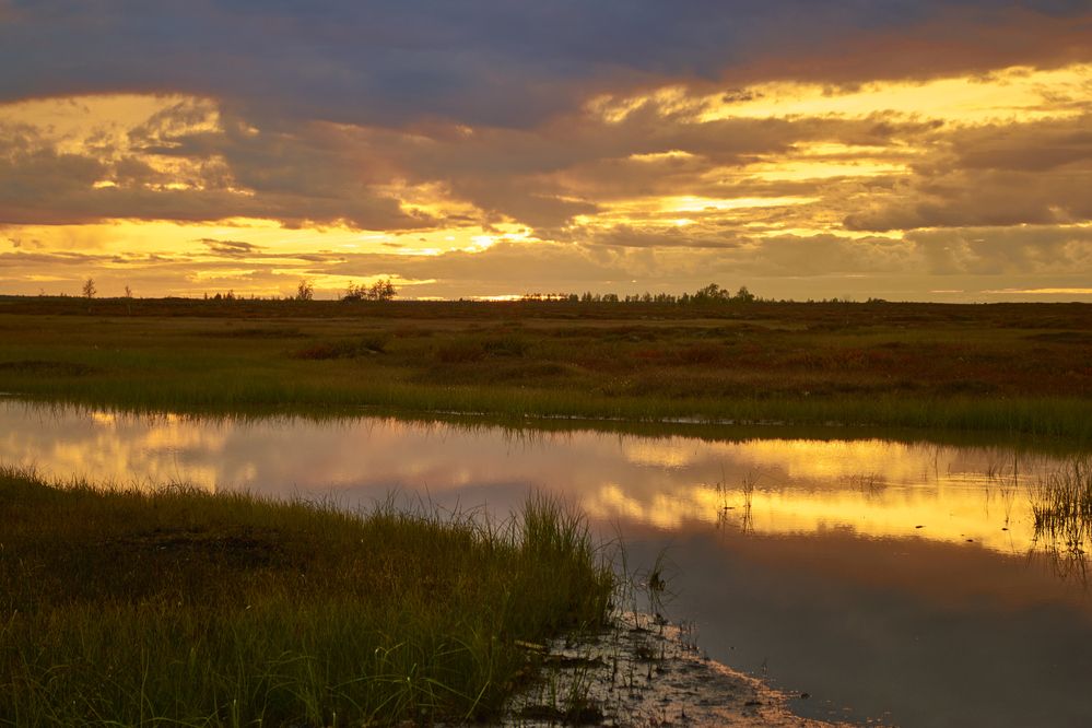 Photograph by Сергей Пузырев