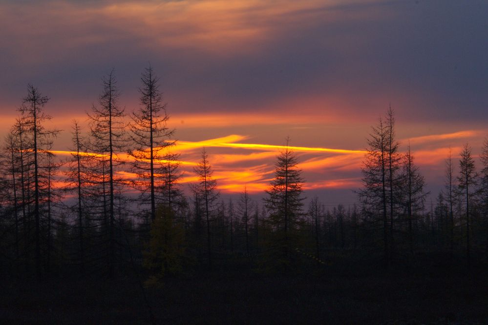 Photograph by Сергей Пузырев