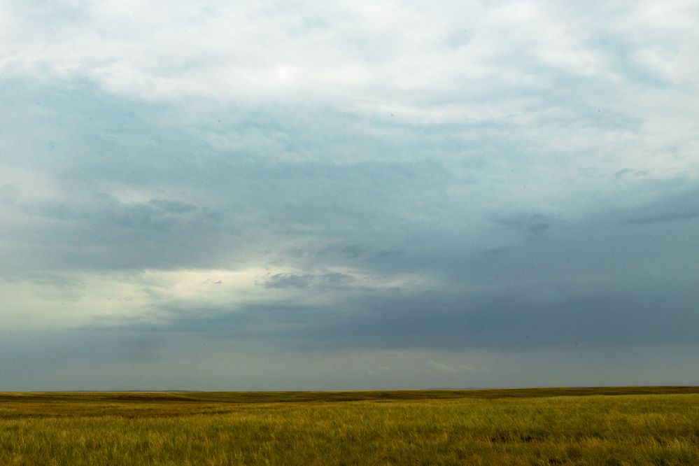 Фотография автора Светлана Громова