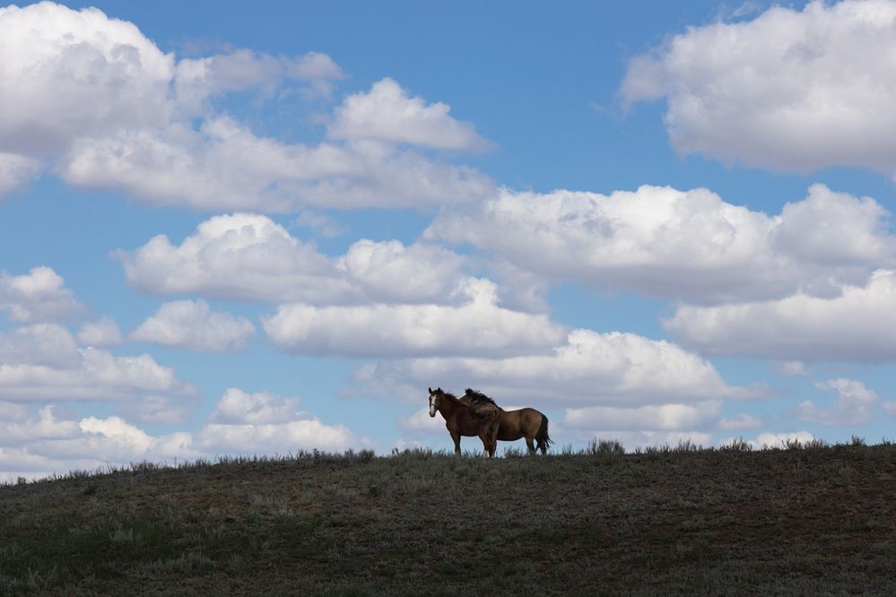 Фотография автора Светлана Громова