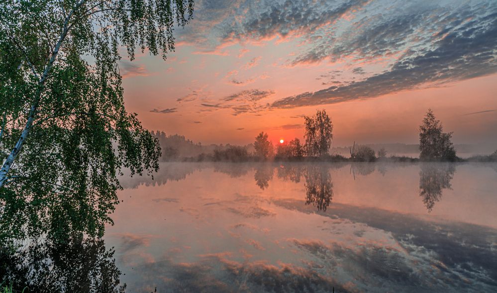 Photograph by Евгений Патрешов