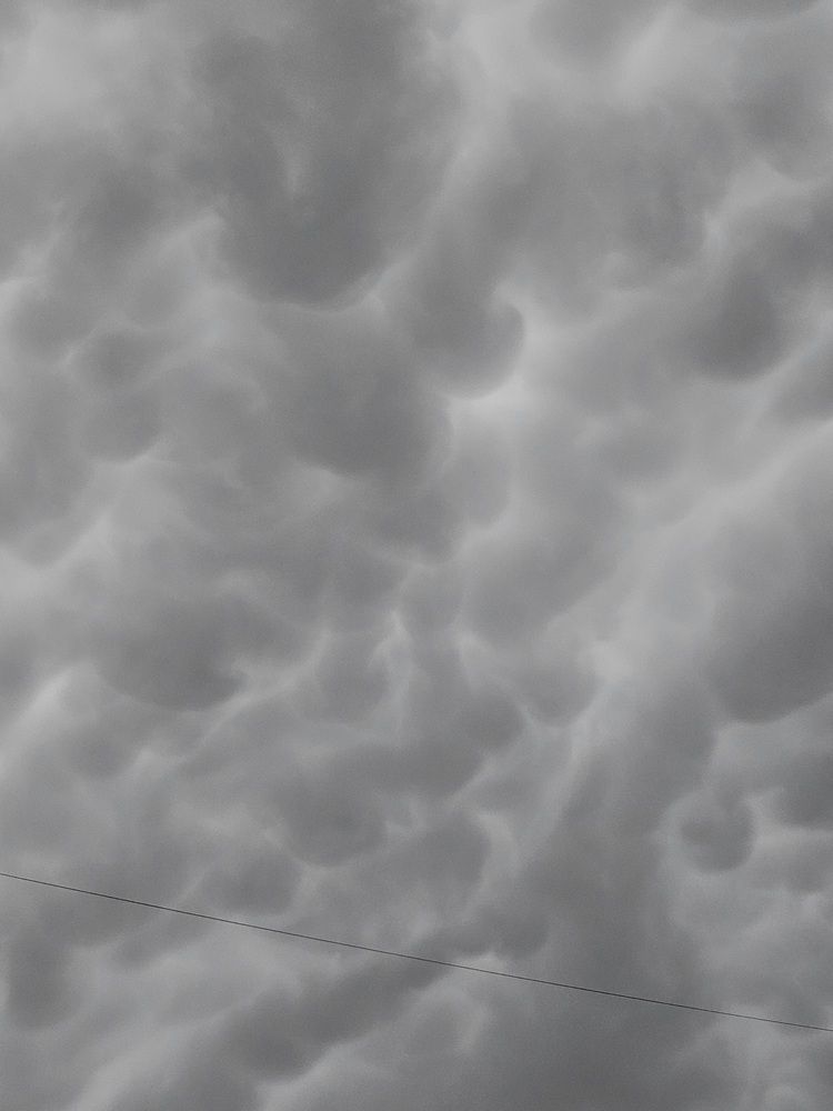 Photograph by Кристина Присяжная