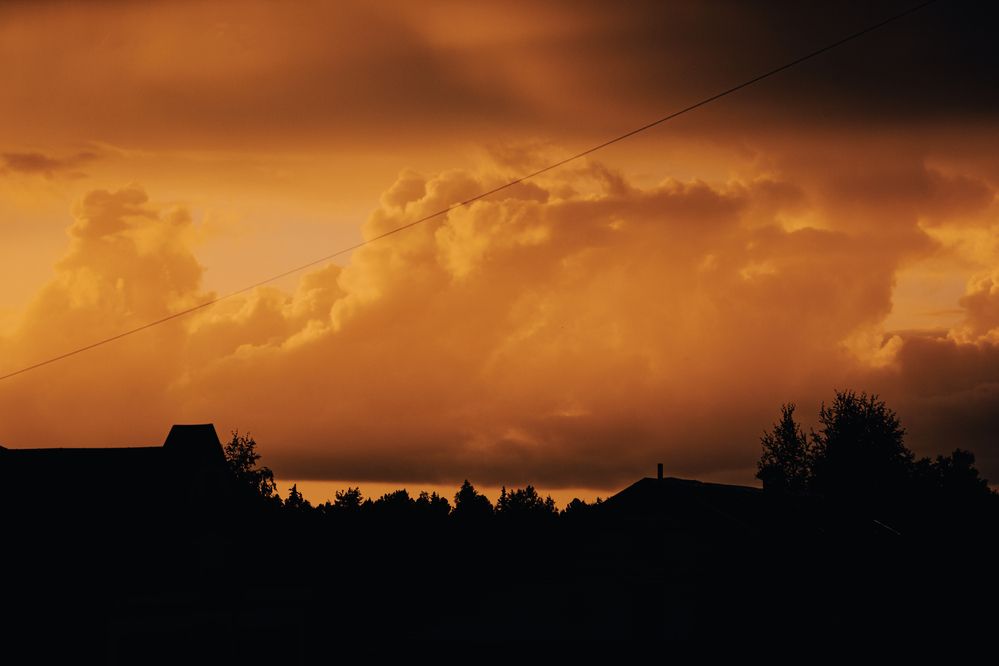 Photograph by G Shish