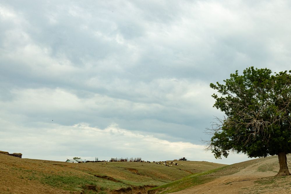 Фотография автора Светлана Громова
