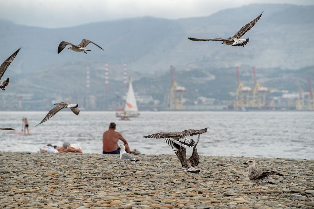 Photograph by Oxana Berezovskaya