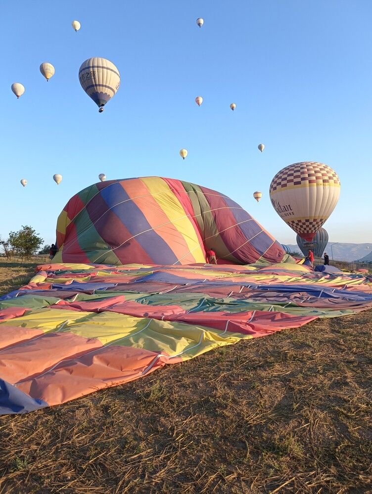 Фотография автора Елена Александрова
