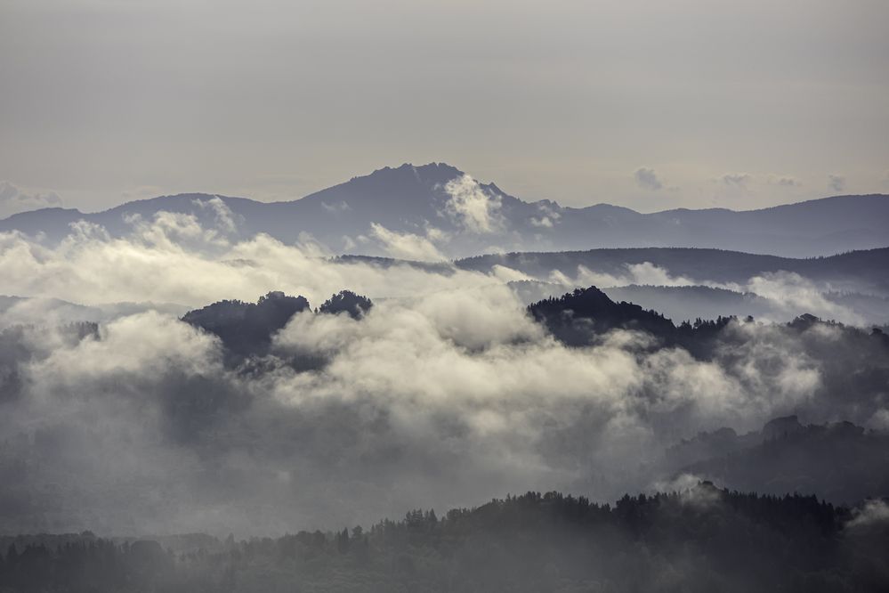 Фотография автора Александра