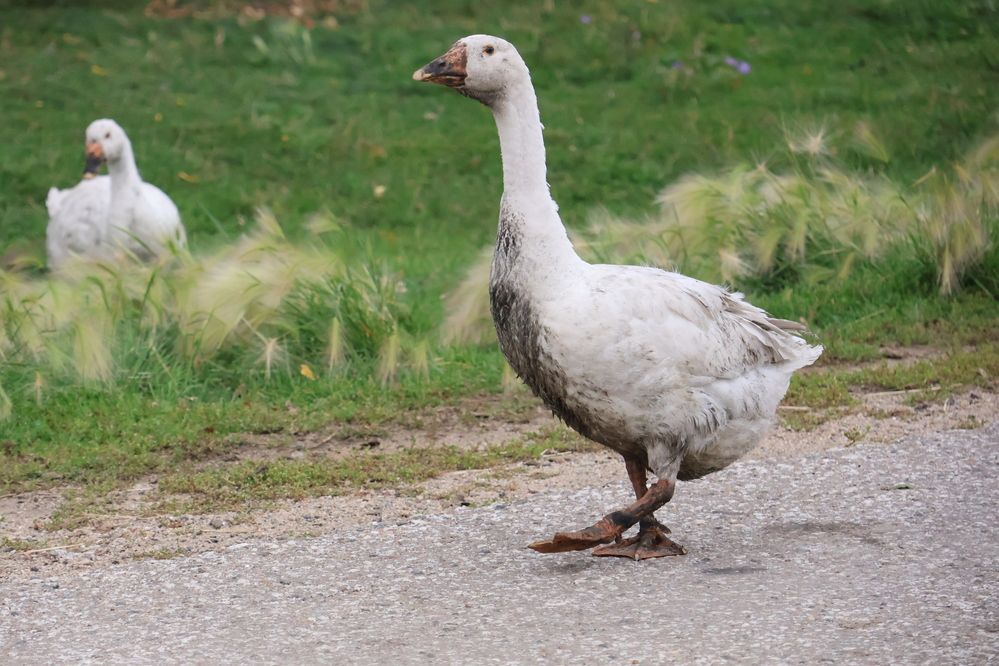 Фотография автора Александра
