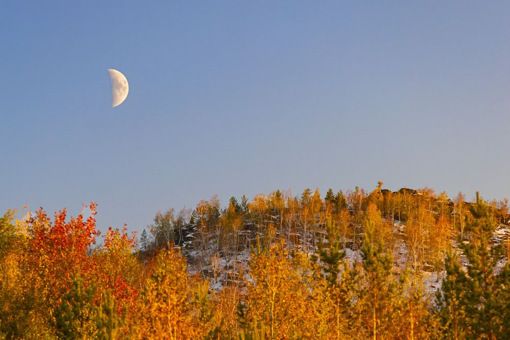 Фотография автора Александра