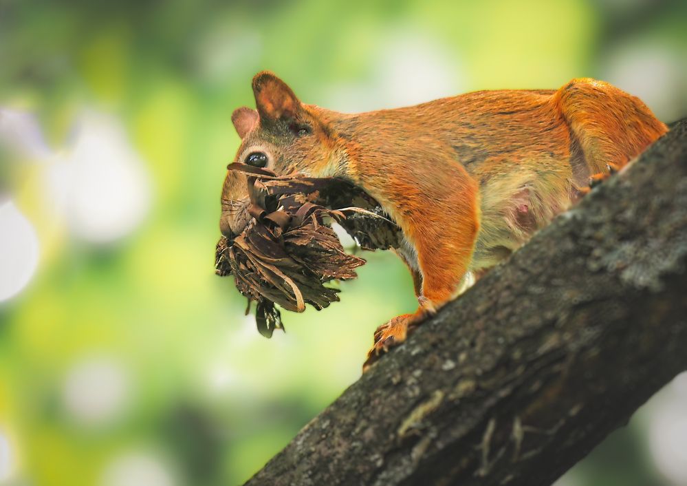 Photograph by Маргарита Смоленская