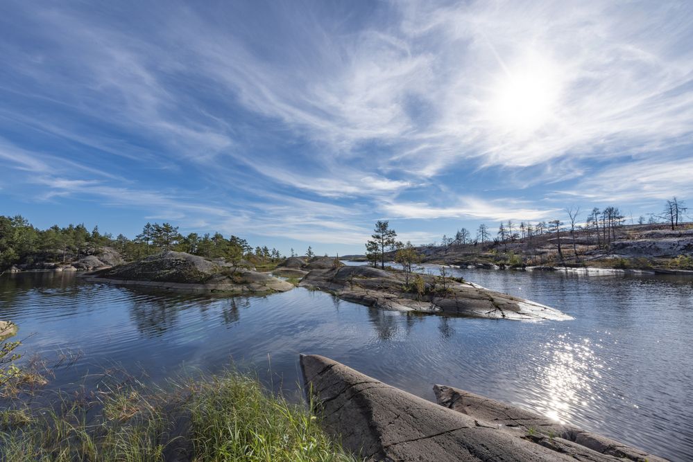 Photograph by Алексей Новиков