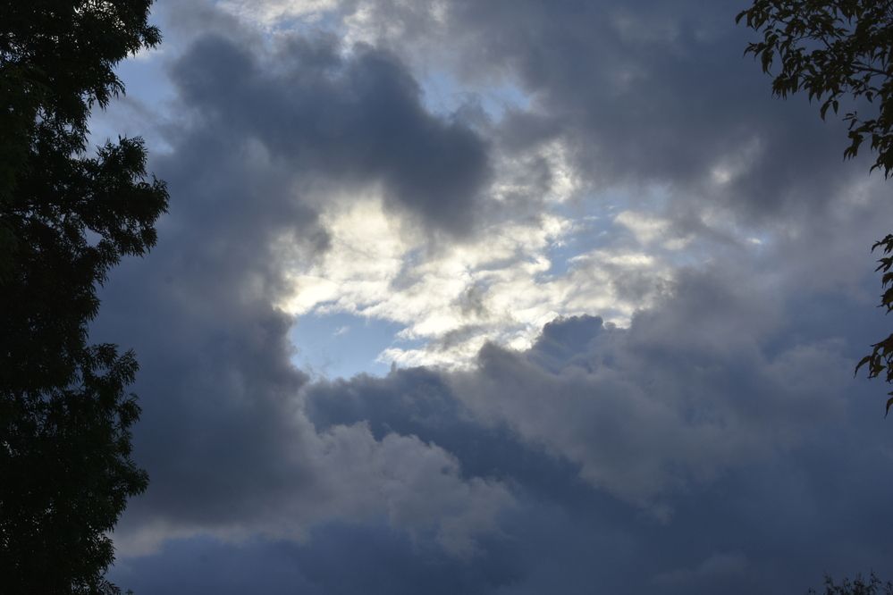 Photograph by Юлия Ю.