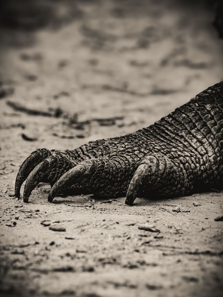 Photograph by Popiyakova Natalia