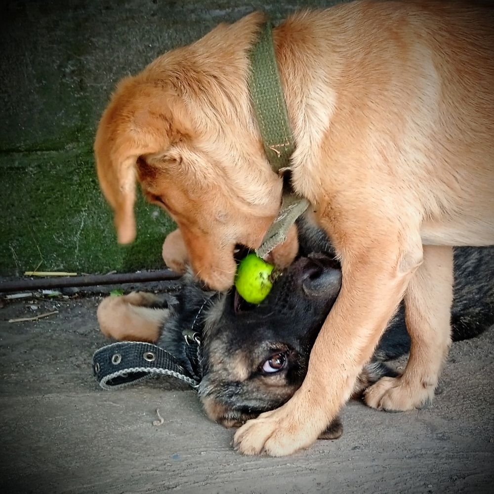 Photograph by Наталья Назаренко