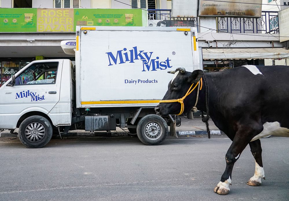 The Original Brand Ambassador