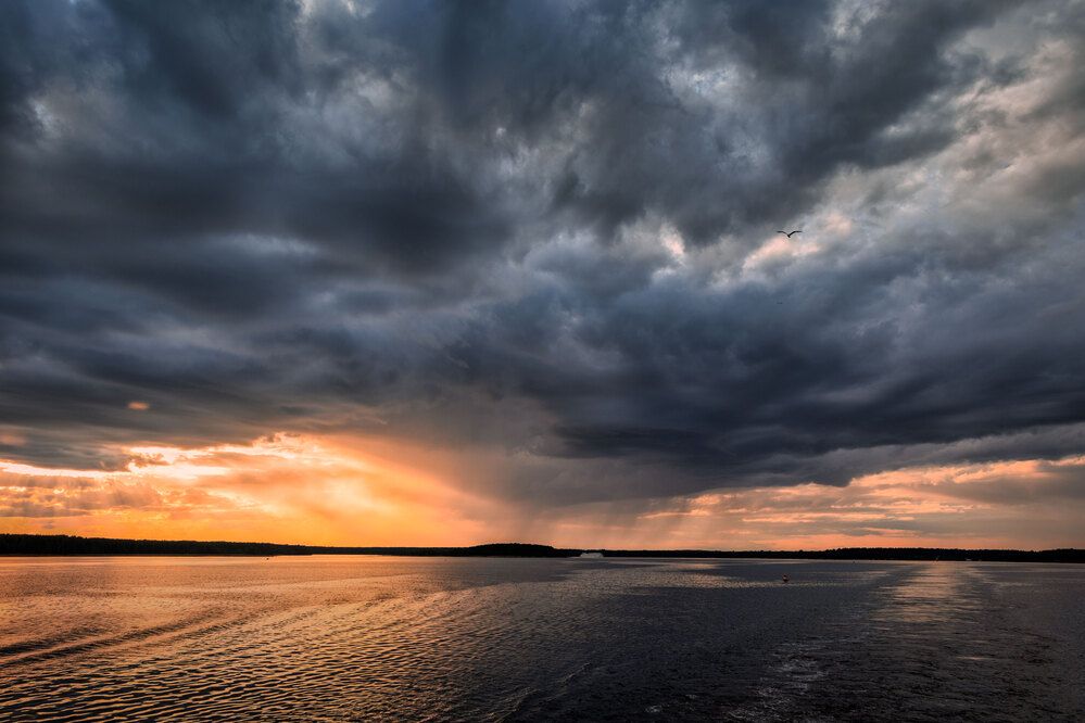 Photograph by Дмитрий Карасев