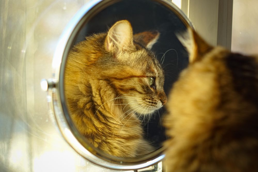 Photograph by Алексей Мякота