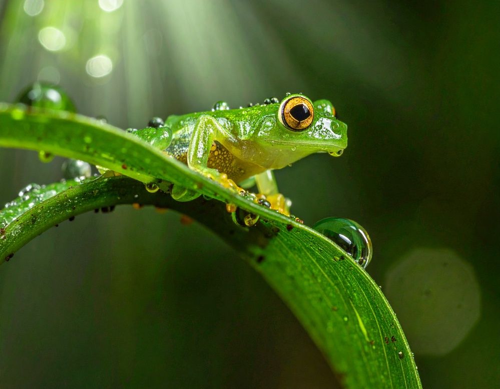 Фотография автора Tawkir Ahmad Shimul Md.