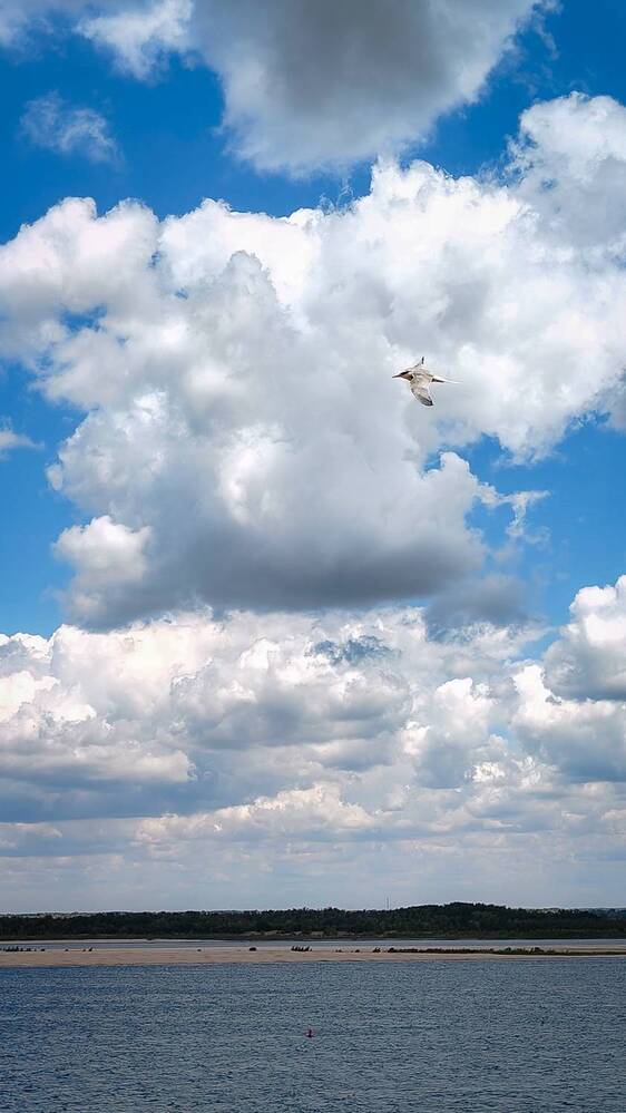 Фотография автора Анастасия Мамаева