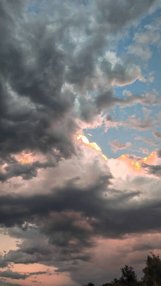 Фотография автора Анастасия Мамаева