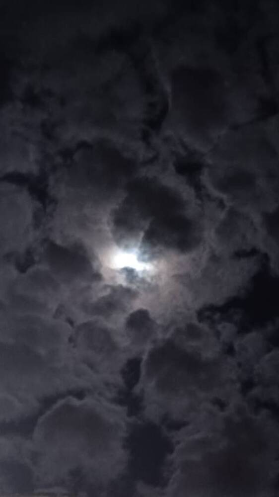 Photo #12526823