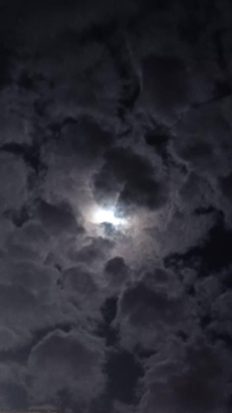 Photo #12526823