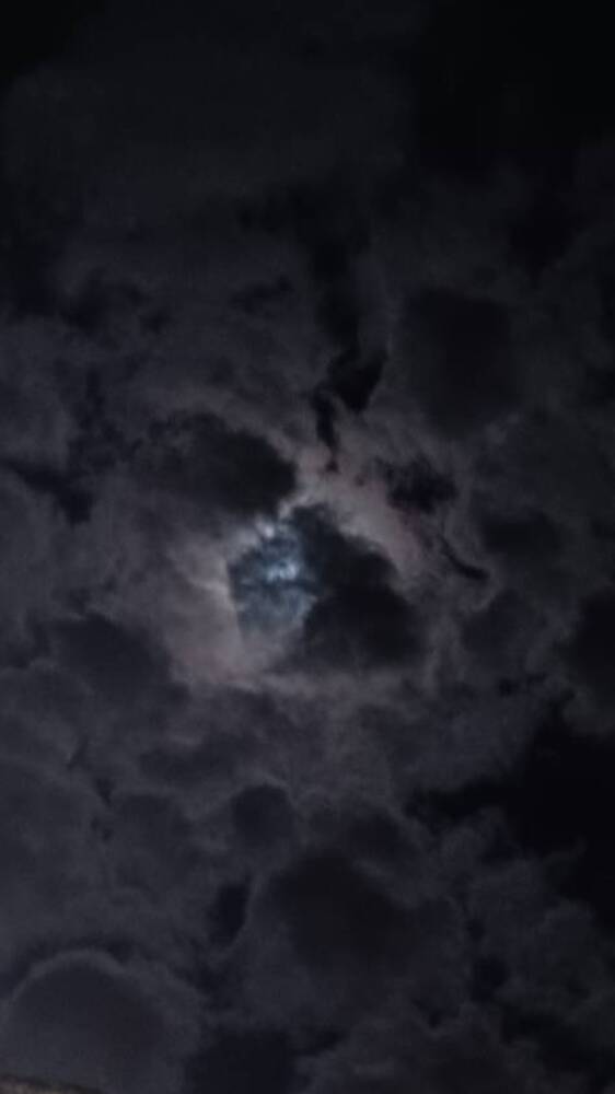 Photo #12526825