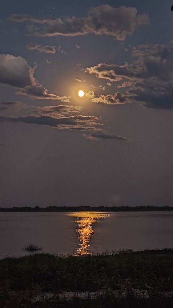 Фотография автора Анастасия Мамаева