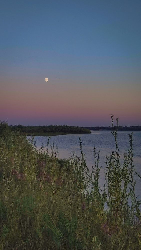 Фотография автора Анастасия Мамаева