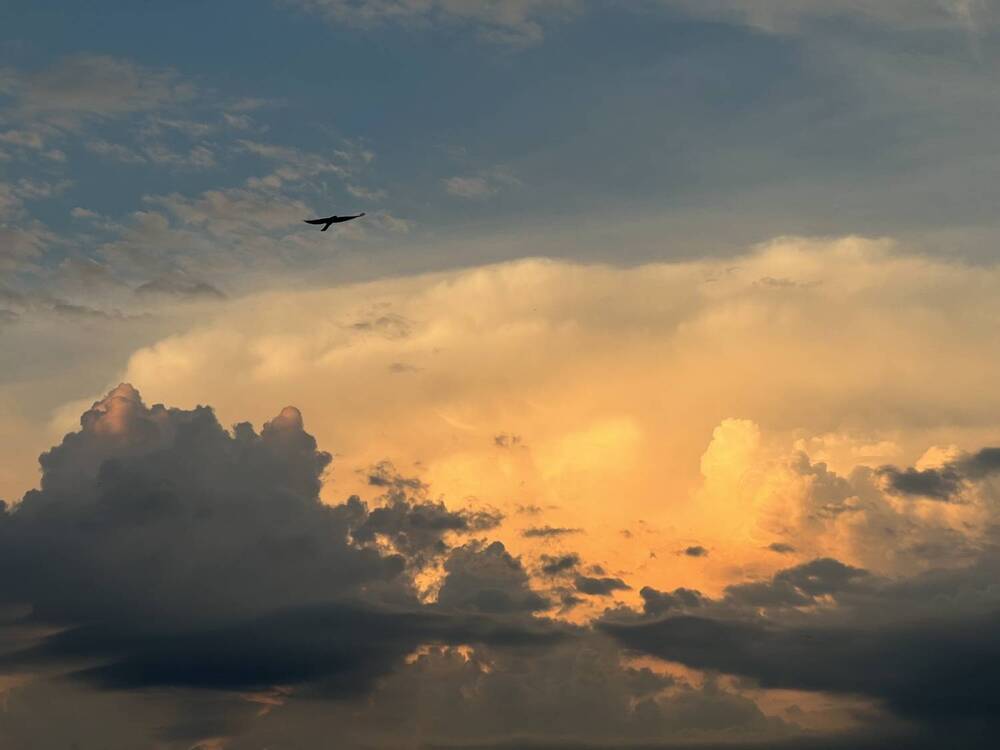 Photograph by Ольга Филатова