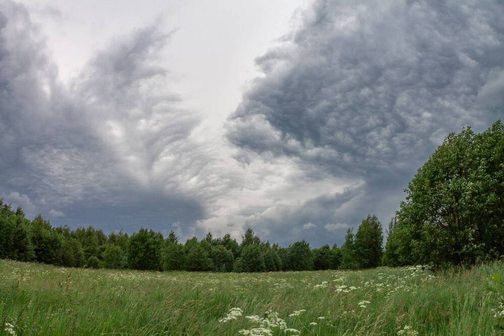 Photograph by Олег Дорошенко