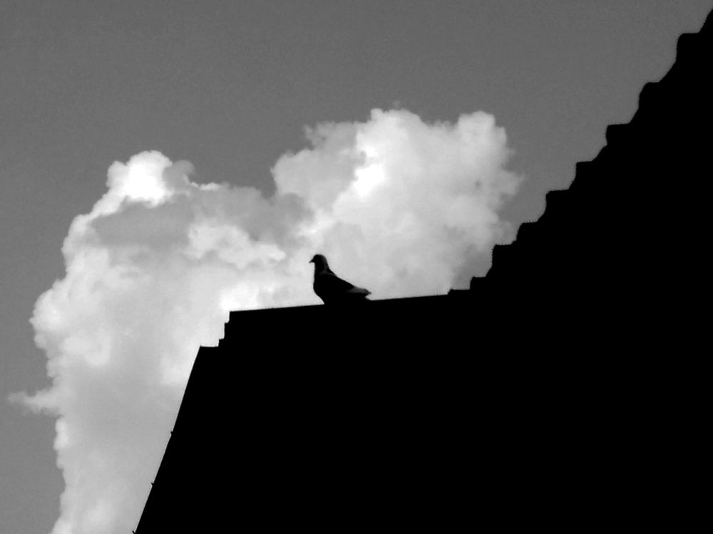 Photograph by Daniel Catagua